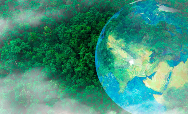 鸟瞰图，绿色的森林映衬着大地。展示了保护生态系统和自然、空气污染和拯救地球的概念。图片下载