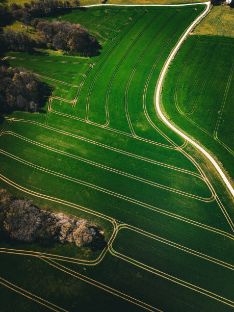 行字段图片下载