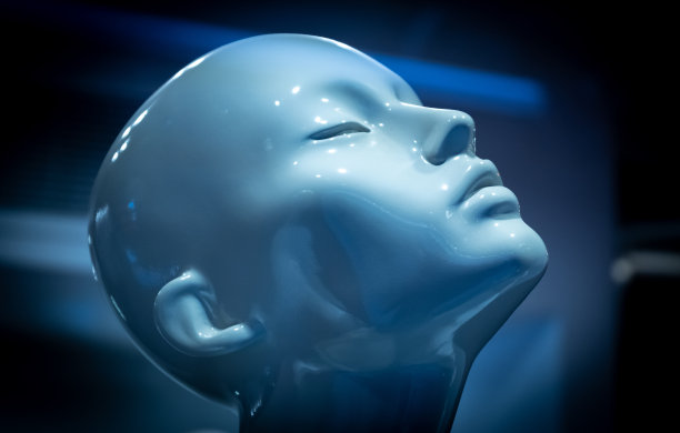 人体模型头部特写图片下载