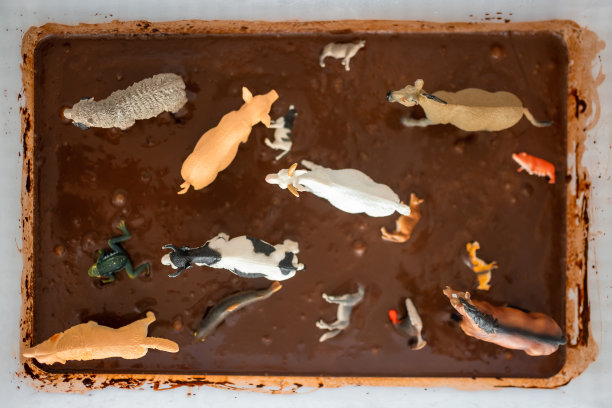 自制巧克力感官泥与农场动物模型。感官发展与体验，儿童主题活动，精细运动技能发展图片下载