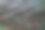 墙边的老鼠图片下载