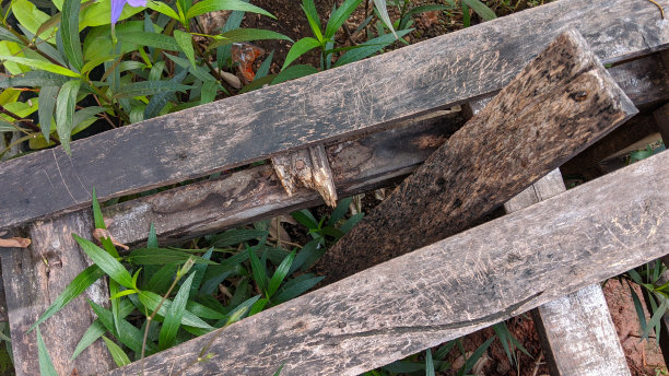 风化木材结构图片下载