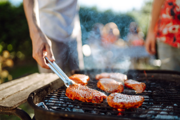Сompany许多人聚集在夏天的花园里烧烤。图片下载