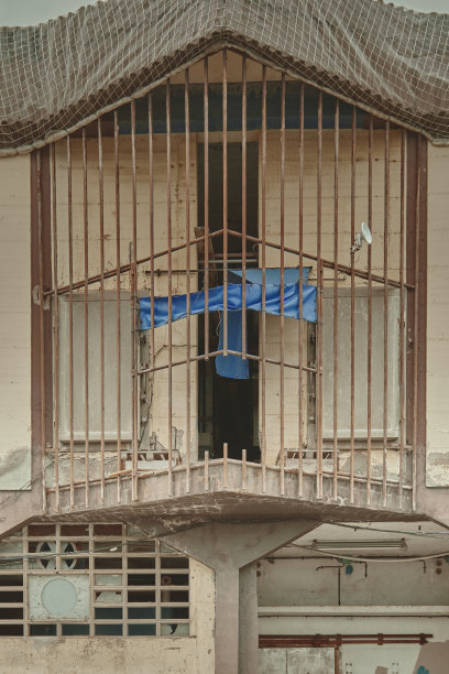 鱼市场图片下载