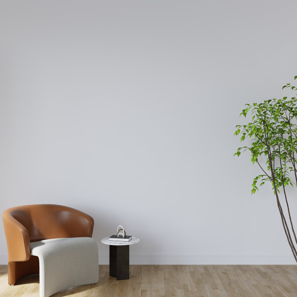 现代客厅空白墙，现实的室内模型，无框的空墙，现代家居设计图片下载