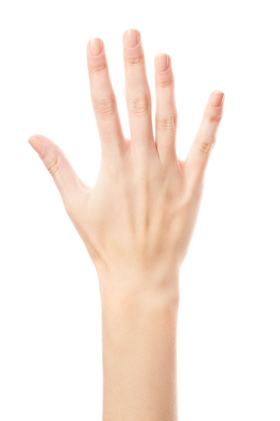 女性的手在白色背景上显示孤立的数字。手语。手数图片下载