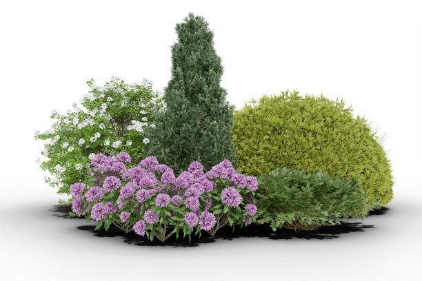 现实的小花园。图片下载