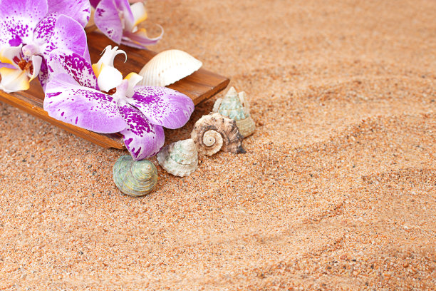 紫兰在木碗上的沙滩与贝壳。摄影美学。旅游，避暑，度假，桑拿，水疗。本空间图片下载