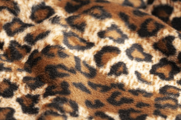 豹皮纹理作为背景图片下载