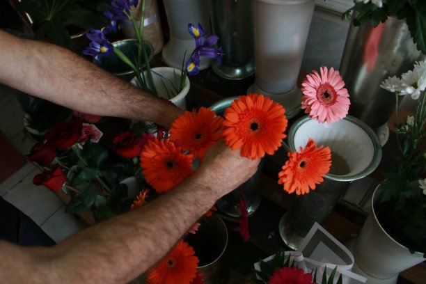 男人在他的花的故事中做装饰图片下载
