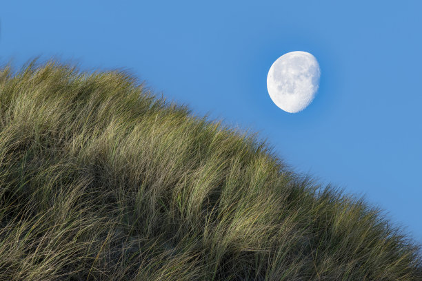 沙丘上有明亮的大月亮图片下载