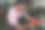男人在他的花的故事中做装饰图片下载