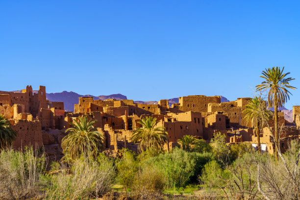 古老的泥屋和棕榈树，廷希尔图片下载