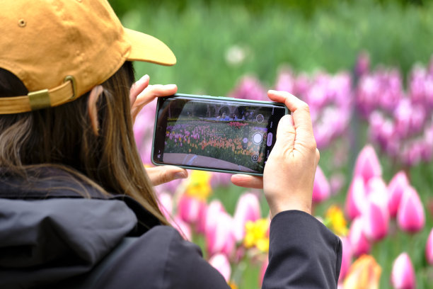 用手机拍照的人图片下载