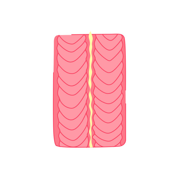 旅游睡垫卡通矢量插图图片下载