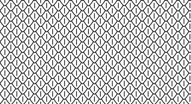 龙鳞无缝花纹。蛇和爬行动物鳞片。鱼，美人鱼鳞背景。简单抽象的恐龙或龙皮无缝图案。矢量黑色线条插图在白色背景图片下载