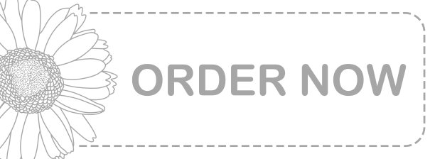 现在订购花极简的灰色白色文本水平图片下载