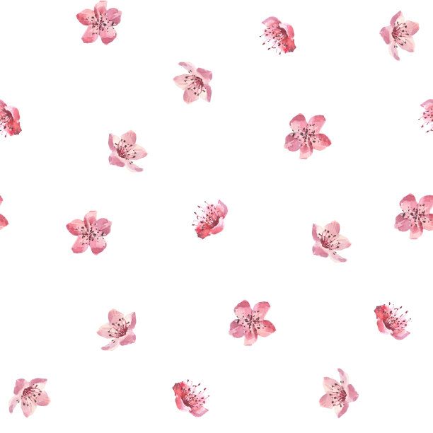无缝图案与水彩花樱花，粉红色的樱桃树，花设置孤立的白色背景。图片下载