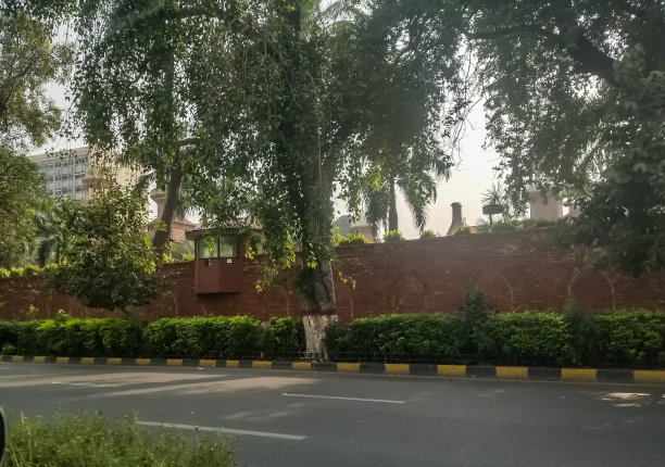 美丽的道路绿化图片下载