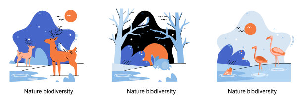 自然界的生物多样性是指地球上生命的环境多样性。拯救野生动物生态系统隐喻图片下载