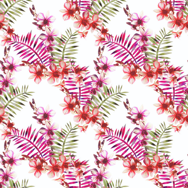 兰花花束与蕨类无缝图案。图片下载