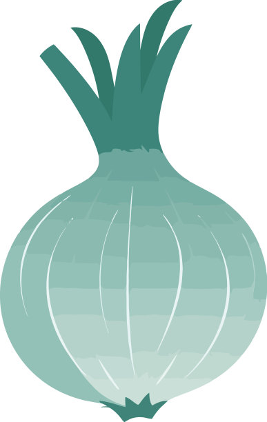 新鲜的洋葱类蔬菜象征着健康的饮食图片下载