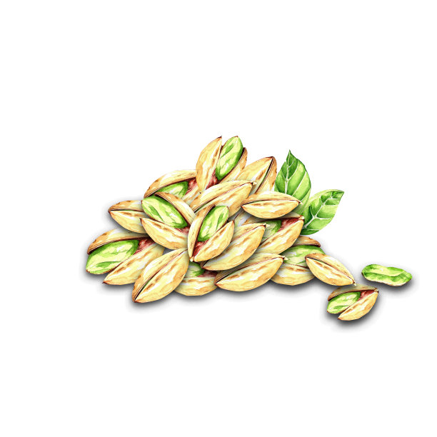 一组水彩元素。东方装饰，珠宝。灯具，手镯，东方香料，东方集市。设计图片下载