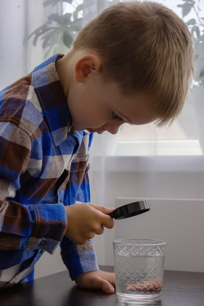 孩子用放大镜检查玻璃杯里的水。孩子。图片下载