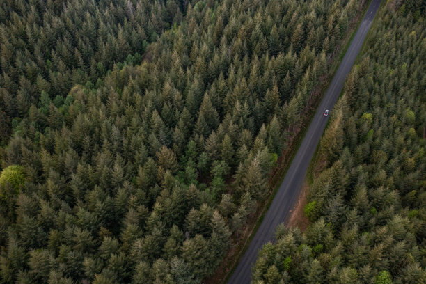 北欧森林鸟瞰图，靠近农田，松树和道路穿过图片下载
