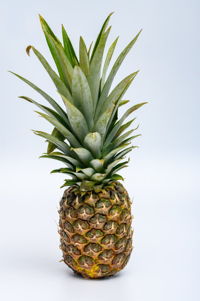 孤立成熟的整个菠萝在浅色背景图片下载