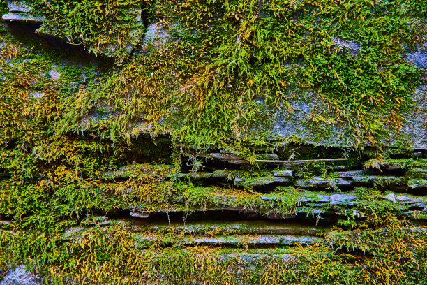 苔藓石墙纹理资产与地衣。jpg图片下载