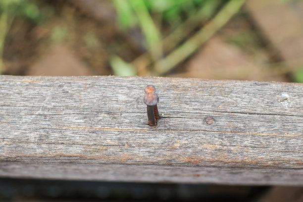 木板上粗糙的钉子。五金行业特写对象。背景和纹理。指甲装饰，复古质朴图片下载