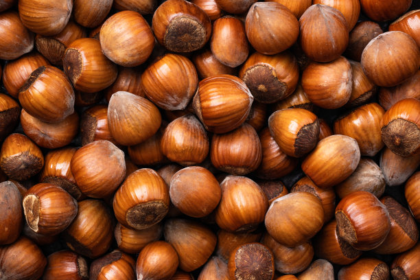 榛子的背景。一堆榛子俯视图。图片下载