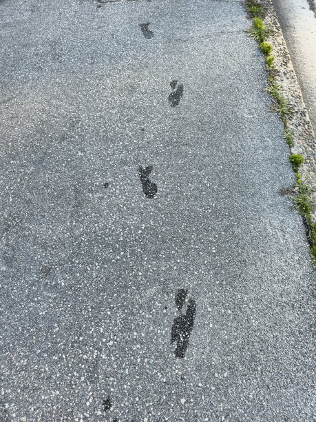 路上的脚印图片下载