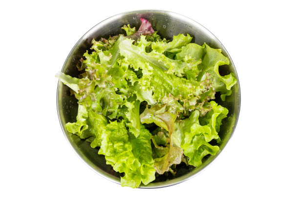 红生菜放在不锈钢碗里。干净的生菜图片下载