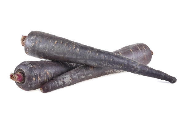 在白色背景上孤立的新鲜紫色胡萝卜。图片下载