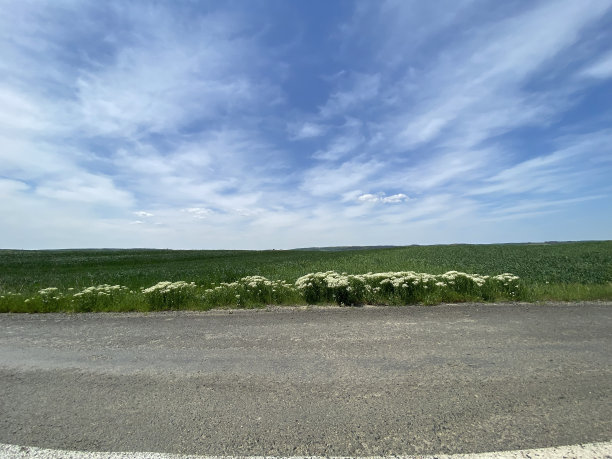 美丽的春夏景色，一望无际的全景，绿色的花朵，农业，田野，地平线，多云明亮的蓝天，沥青，乡村，道路，车道线图片下载