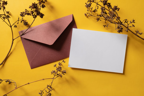 白色空白问候或邀请卡和信封，干植物装饰在黄色背景。图片下载