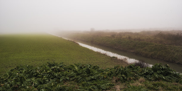 冬季景观内威尼托境内的波河三角洲，斯卡多瓦里萨卡，托尔港，威尼托图片下载