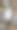 沙滩上的蟹壳图片下载