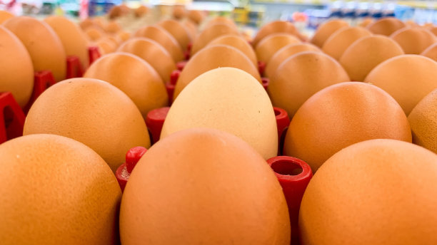 超市货架上的新鲜鸡蛋图片下载