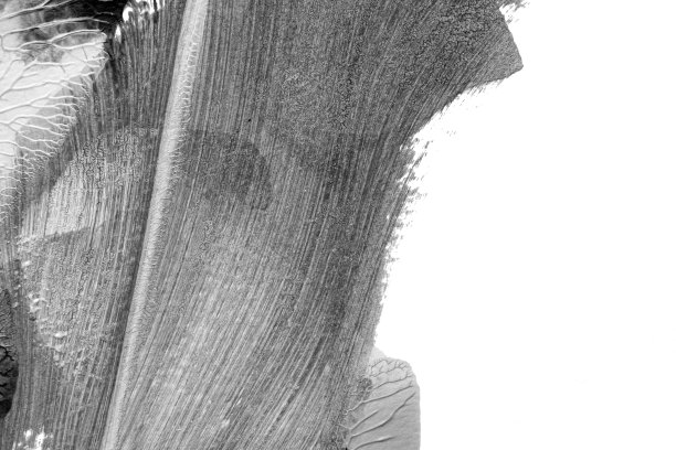 用罗夏墨迹法在白纸背景上画黑白抽象丙烯色纹理图片下载