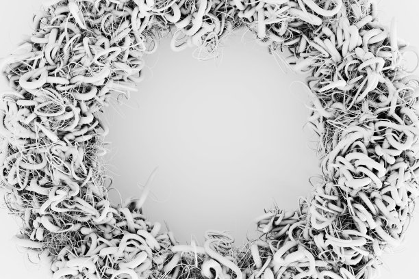 黑色和白色单色的扭曲植物根的花环。插图作为网页设计背景和幻灯片演示的设计元素和复制空间图片下载