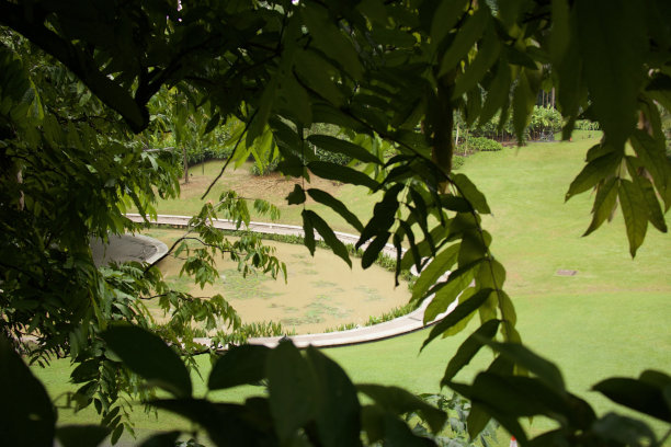 Singapore2013图片下载