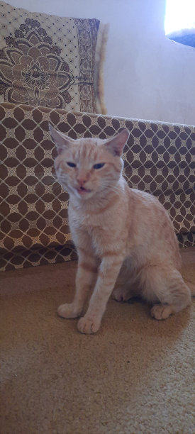 照片来自大自然，天空，水，树，山和艺术，抽象图片下载