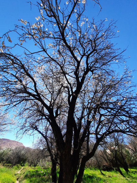 照片来自大自然，天空，水，树，山和艺术，抽象图片下载