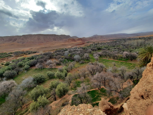 照片来自大自然，天空，水，树，山和艺术，抽象图片下载