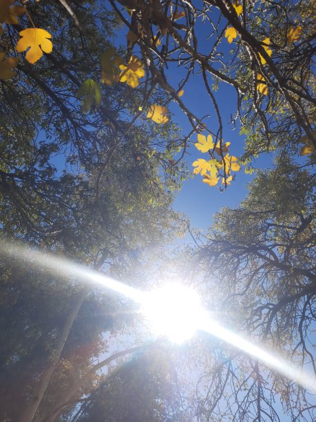 照片来自大自然，天空，水，树，山和艺术，抽象图片下载