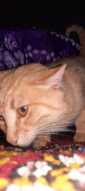 照片来自大自然，天空，水，树，山和艺术，抽象图片下载