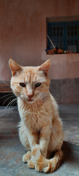 照片来自大自然，天空，水，树，山和艺术，抽象图片下载